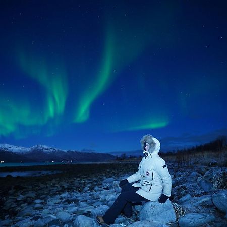 Arctic Rooms Rektor Tromso Ngoại thất bức ảnh