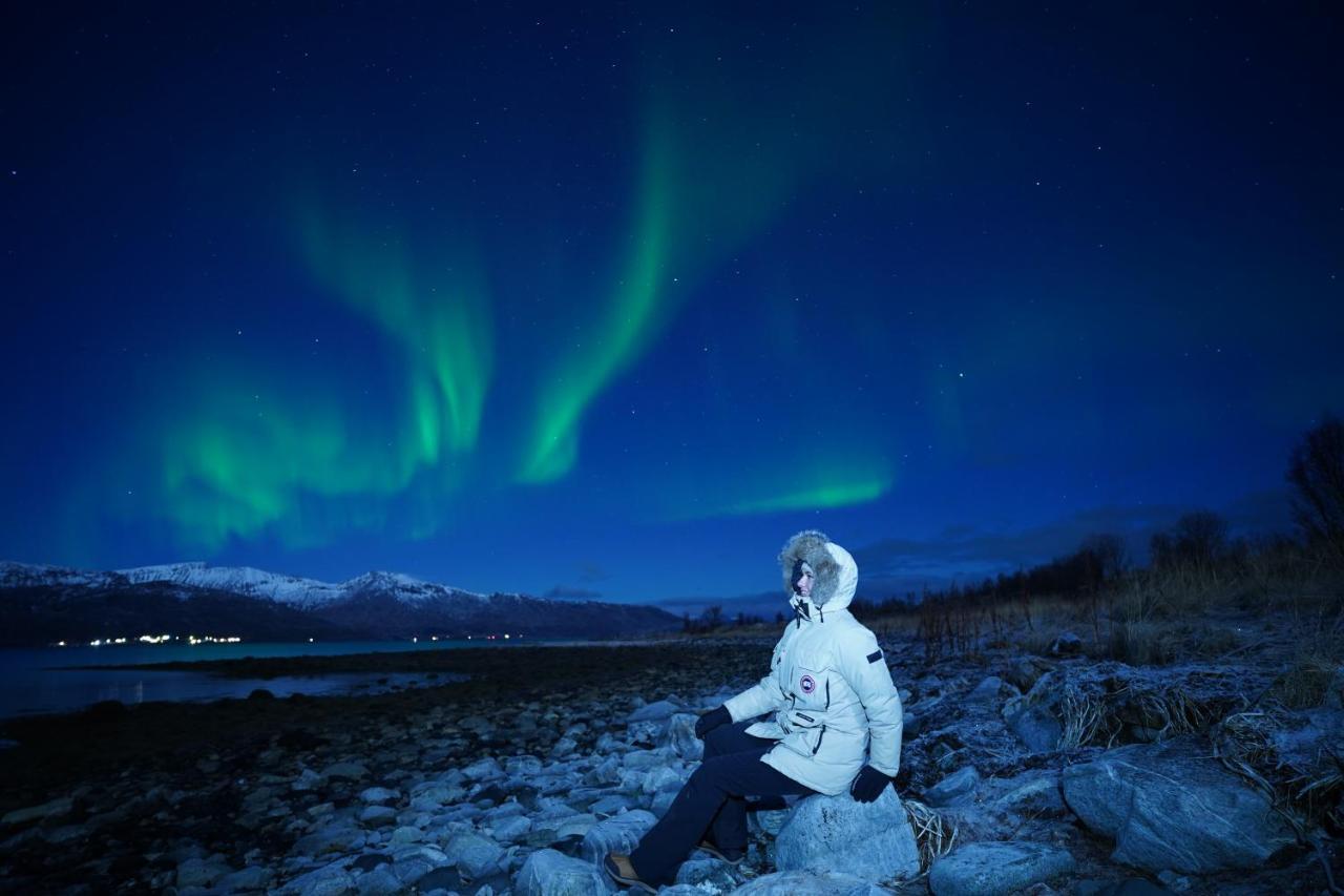 Arctic Rooms Rektor Tromso Ngoại thất bức ảnh